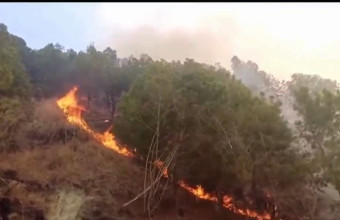 Περού: Κατάσταση έκτακτης ανάγκης σε τρεις πυρόπληκτες περιφέρειες - Δείτε βίντεο