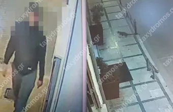 Στα ίχνη του serial killer των αδέσποτων στον Βολό οι αρχές