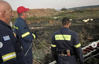 Πυροσβέστες έσωσαν πρόβατα που είχαν κολλήσει σε βάλτο – Φωτογραφίες