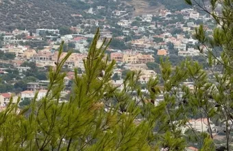 Παράταση ενός χρόνου για την εξαγορά των καταπατημένων ακινήτων του Δημοσίου