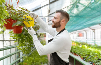 Foodcityboost: Σε εξέλιξη μεγάλη έρευνα για καινοτόμες πρακτικές στην Αστική Γεωργία