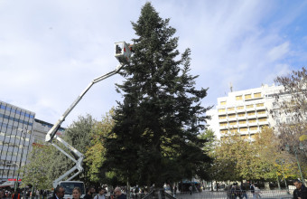 Χριστούγεννα στην Αθήνα: Αυτή την Πέμπτη φωταγωγείται το δέντρο στο Σύνταγμα