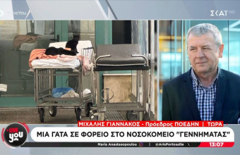 νοσοκομείο «Γεννηματάς»