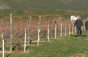 Κτήμα «Βίβλια Xώρα»- Η ιστορία του εμβληματικού αμπελώνα της Καβάλας