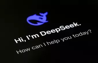 DeepSeek