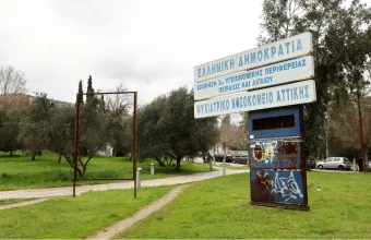 Δαφνι
