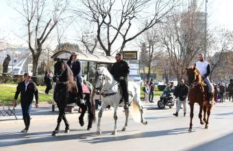 Άλογα