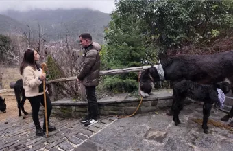 «Τα Ψηλά Βουνά»: Η ομάδα που δίνει ζωή στα ορεινά της Ηπείρου
