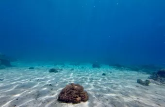 Ειρηνικός Ωκεανός