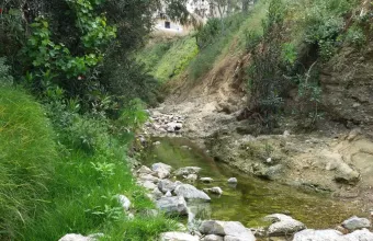 Ρέμα της Πικροδάφνης: Σχέδια μετατροπής σε πνεύμονα πρασίνου και αναψυχής
