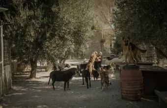 ντοκιμαντέρ «Takis.»