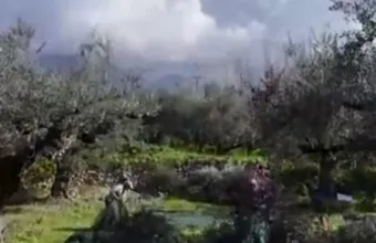 ΕΛΓΑ