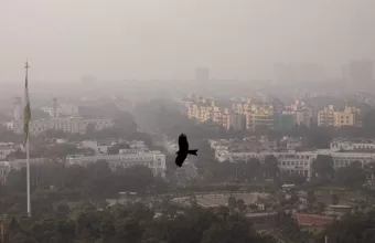 μόλυνση