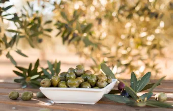 Παράταση εφαρμογής της υποχρεωτικής δήλωσης συγκομιδής ελαιοκάρπου