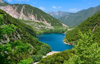Στεφανιάδα