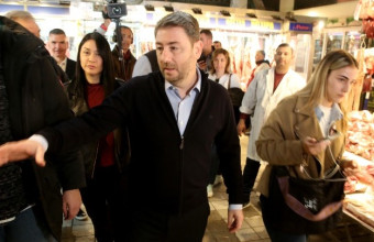 Νίκος Ανδρουλάκης