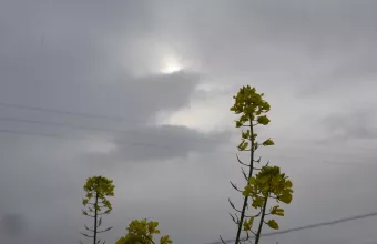 συννεφιά