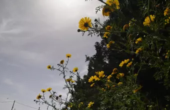 Καιρός 
