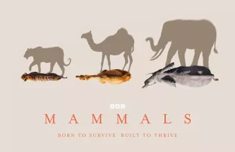 mammals
