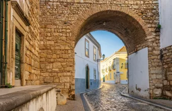 φυτοφαρμακα