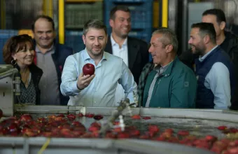 Νίκος Ανδρουλάκης