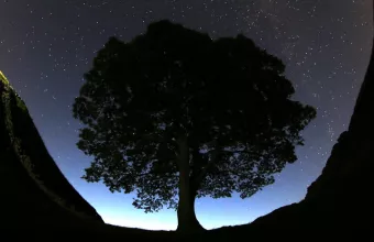 Sycamore Gap