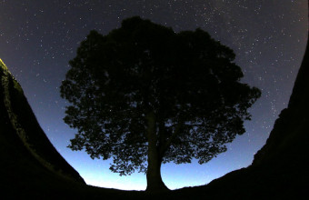Sycamore Gap