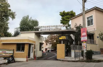 Αγία Όλγα 
