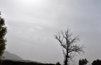 Αφρικανική σκόνη 