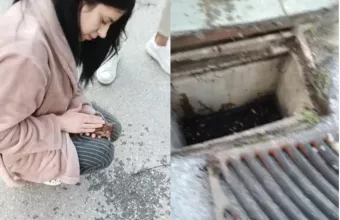 Θεσσαλονίκη: 21χρονη επαναφέρει στη ζωή γατάκι που είχε πέσει σε φρεάτιο