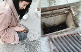 Θεσσαλονίκη: 21χρονη επαναφέρει στη ζωή γατάκι που είχε πέσει σε φρεάτιο