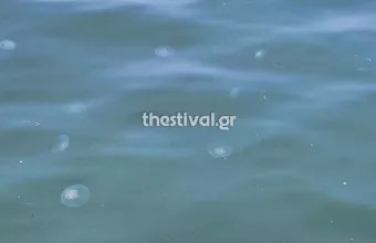 Μέδουσες