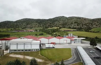 ΟΠΤΙΜΑ Παντελιάδης