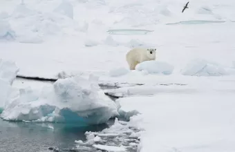 Svalbard