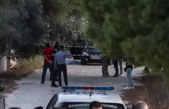τουρκική μαφία
