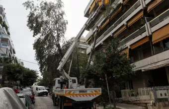 Δέντρο