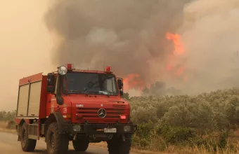 Πυρκαγιά Βαθύρεμα Αγιάς