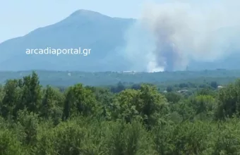 φωτια βελιγοστη 