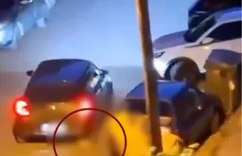Γατακι Θεσσαλονικη