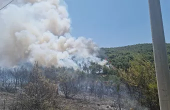 Φωτιά στο Γραμματικό 