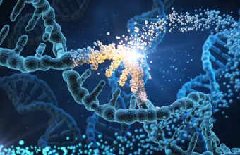 DNA