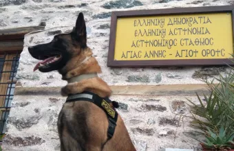 Όσκαρ 