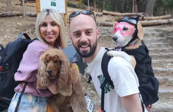 Pet stories