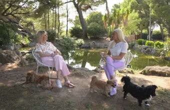 Pet Stories