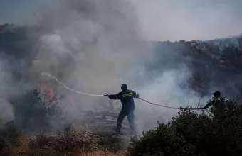 Φωτιά στον Μαραθώνα