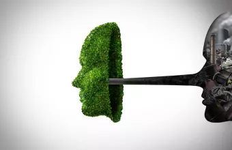 Environmental fraud or green hypocricy