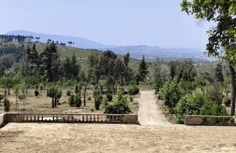 Τατόι