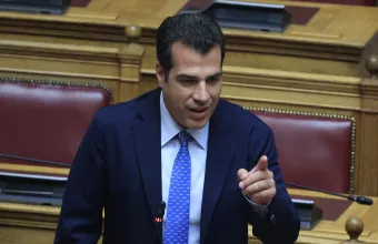 Πλεύρης