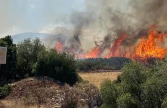 Φωτιά στα Μέγαρα