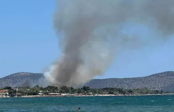 Φωτιά Μαραθώνας 